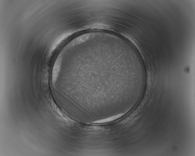 X0000115411115200912011333