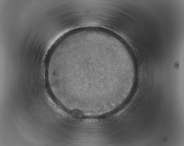 X0000115411118200912011334