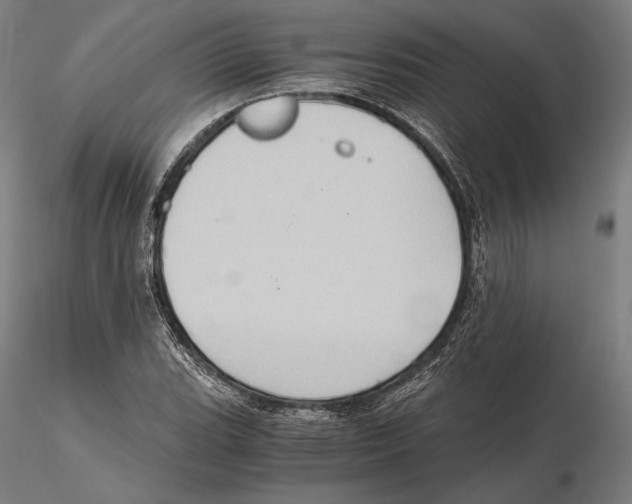 X0000115411119200912011334