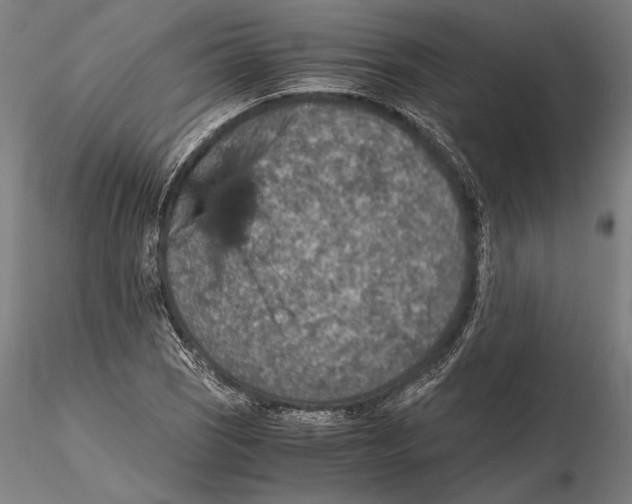 X0000115411121200912011334