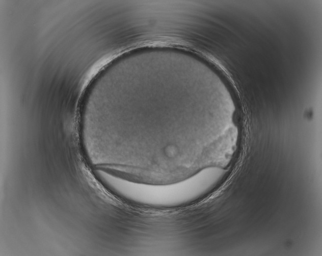 X0000115411122200912011334