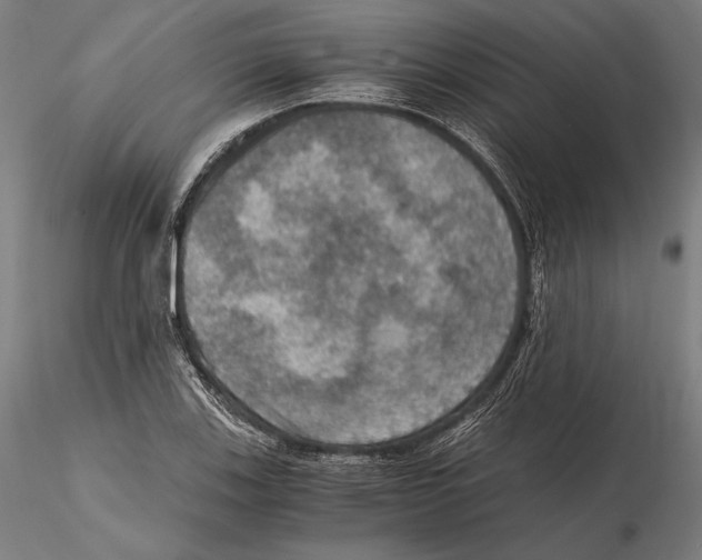 X0000115411123200912011334