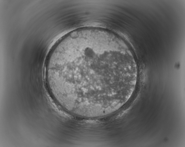 X0000115411125200912011334