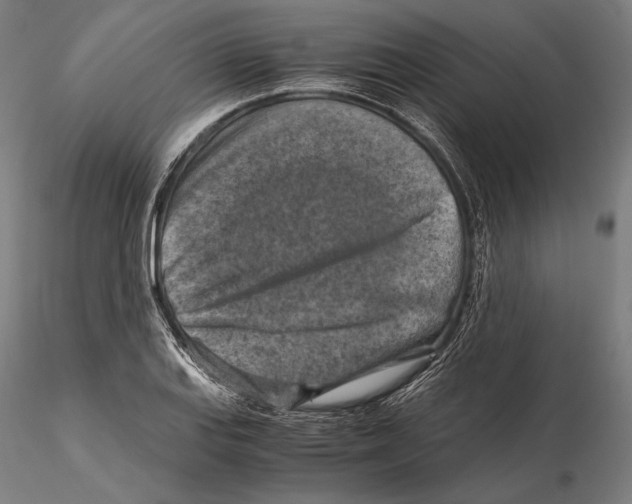 X0000115411127200912011334