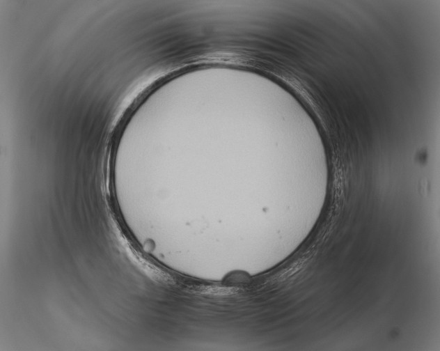 X0000115411131200912011334