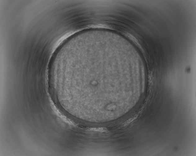 X0000115411133200912011334