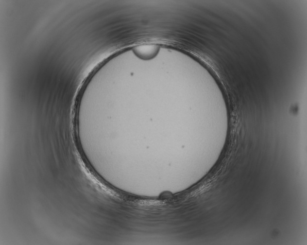 X0000115411135200912011334