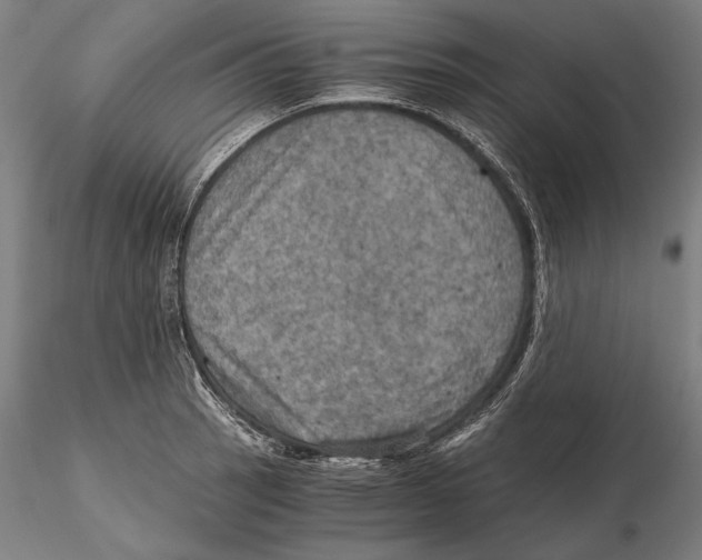 X0000115411137200912011334