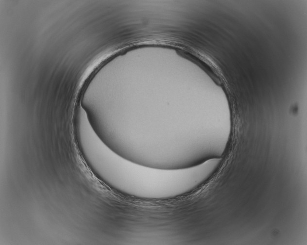 X0000115411138200912011334