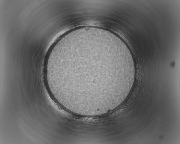 X0000115411139200912011334