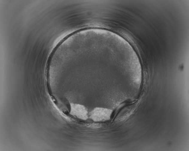 X0000115411141200912011334