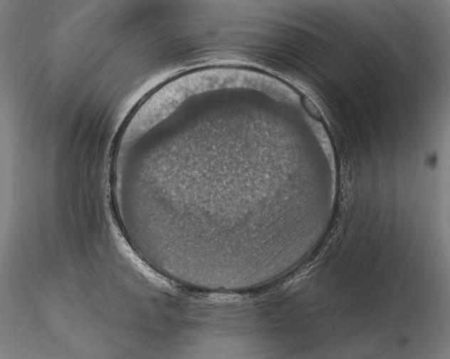 X0000115411142200912011334