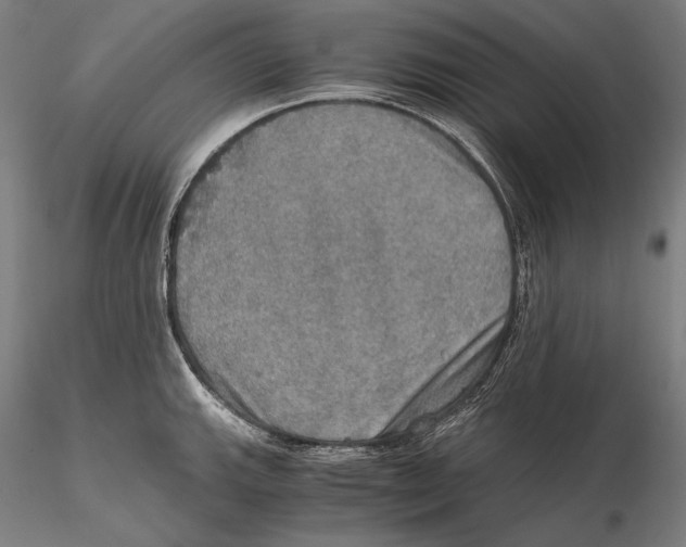 X0000115411143200912011334