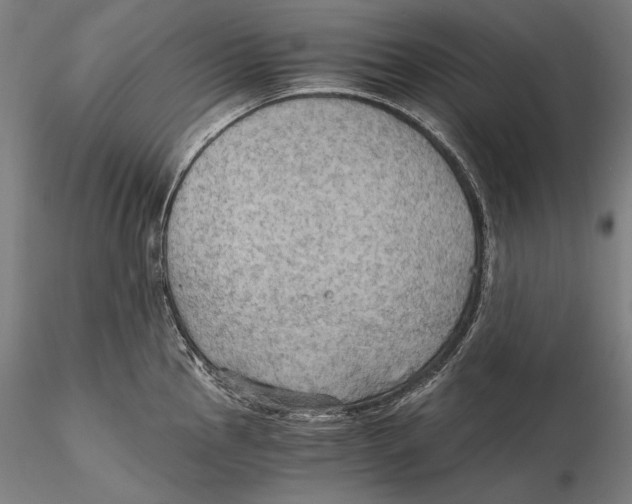 X0000115411145200912011334