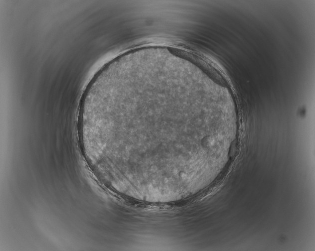 X0000115411146200912011334