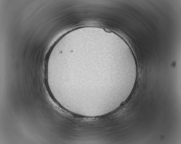 X0000115411147200912011334