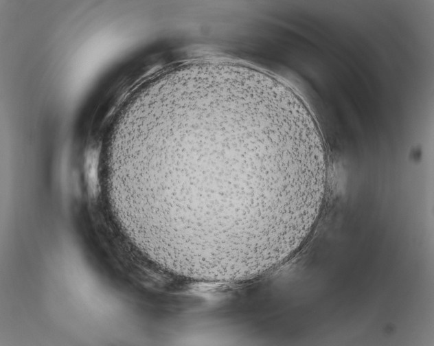 X0000115411150200912011334