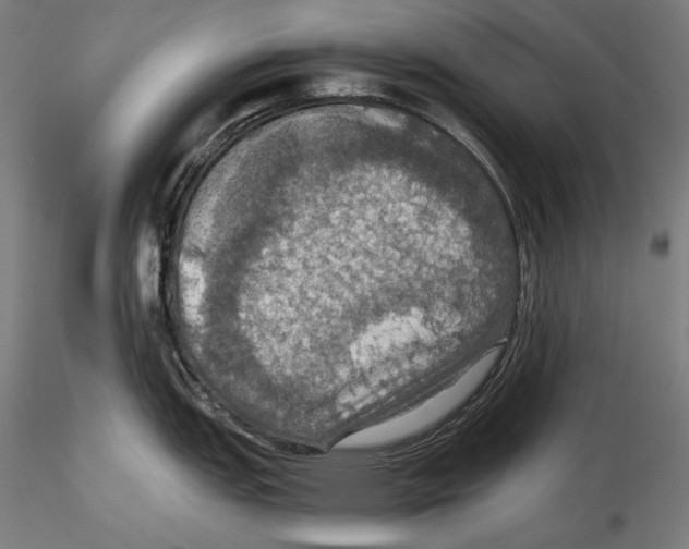 X0000115411151200912011334