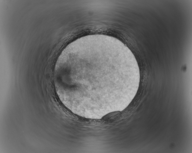 X0000115411153200912011333