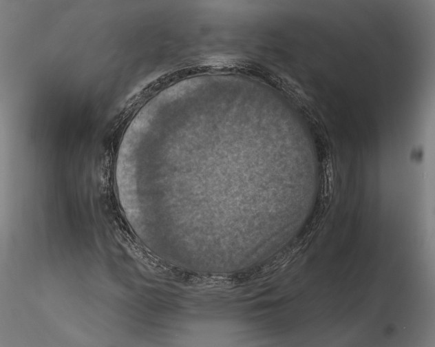 X0000115411158200912011333