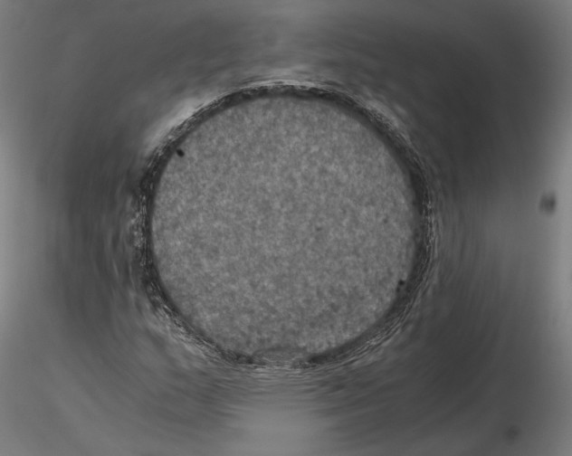 X0000115411159200912011333