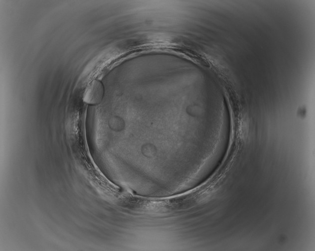 X0000115411161200912011333