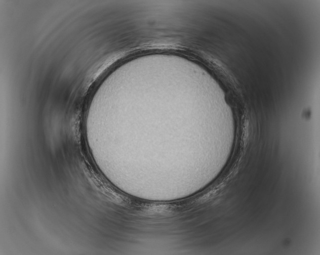 X0000115411162200912011333