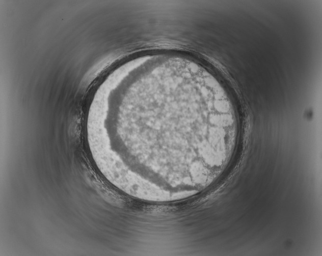 X0000115411163200912011333