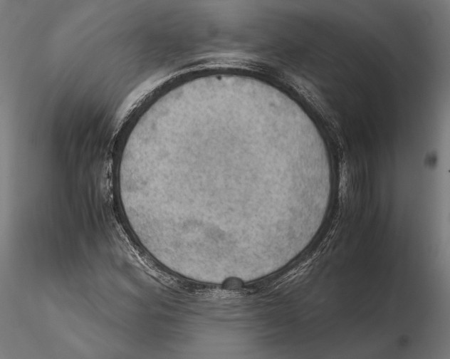 X0000115411164200912011333