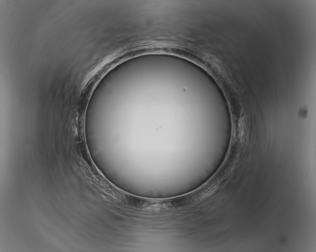 X0000115411165200912011333