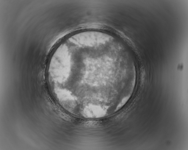 X0000115411166200912011333