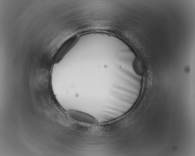 X0000115411169200912011333