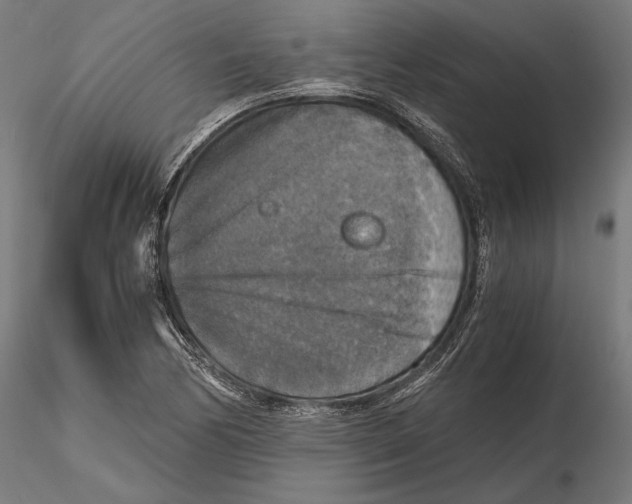 X0000115411170200912011333