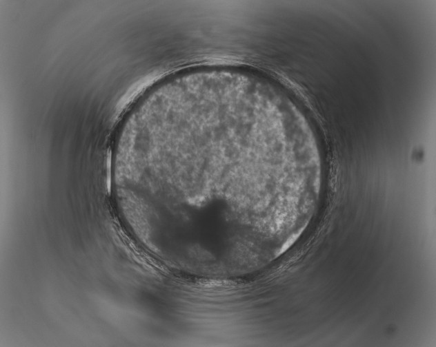 X0000115411171200912011333