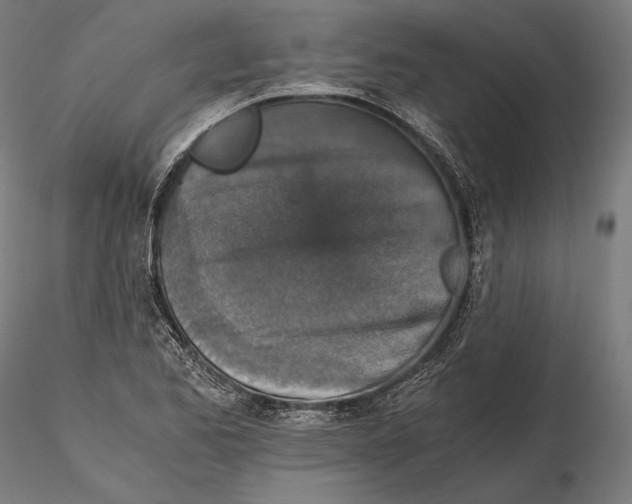 X0000115411173200912011333