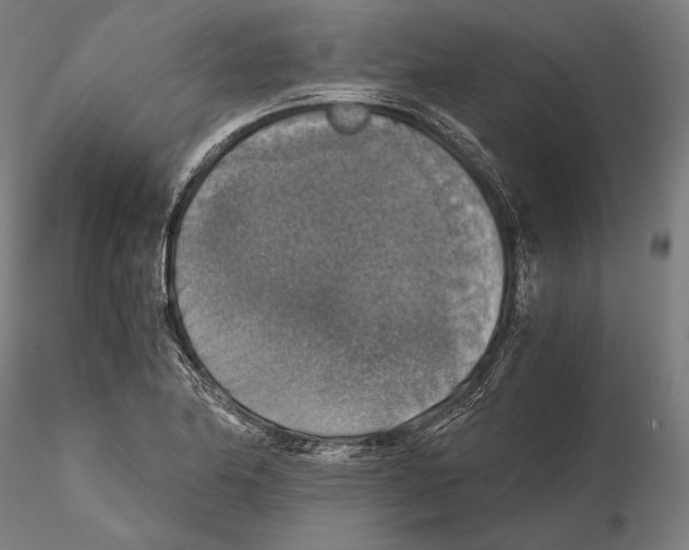 X0000115411174200912011333