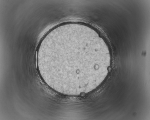 X0000115411175200912011333