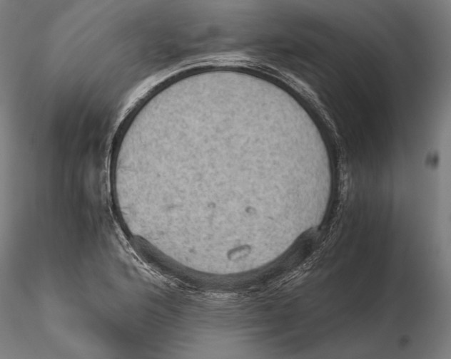 X0000115411176200912011333