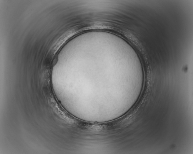 X0000115411177200912011333