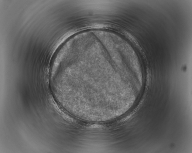 X0000115411178200912011333