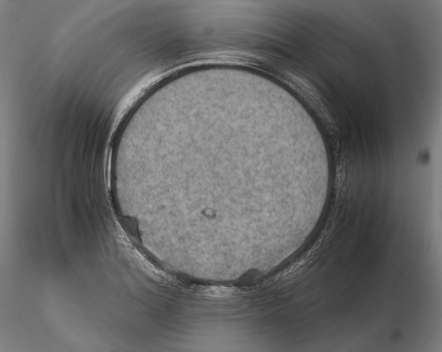 X0000115411180200912011333