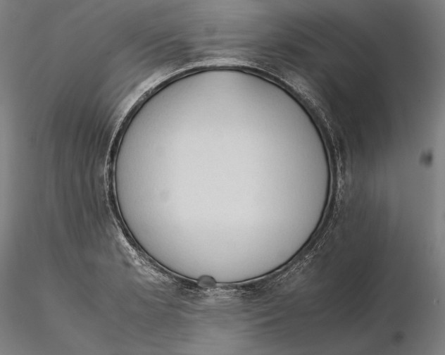 X0000115411181200912011333