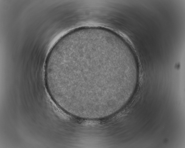 X0000115411183200912011333