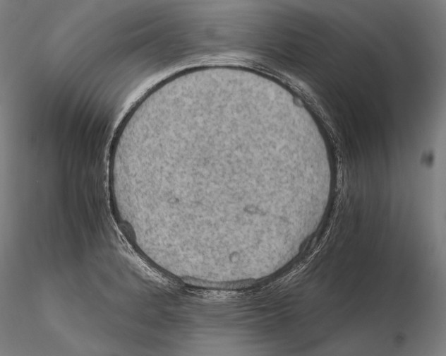 X0000115411184200912011333