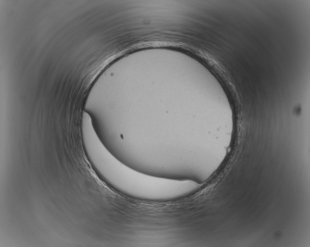 X0000115411185200912011333