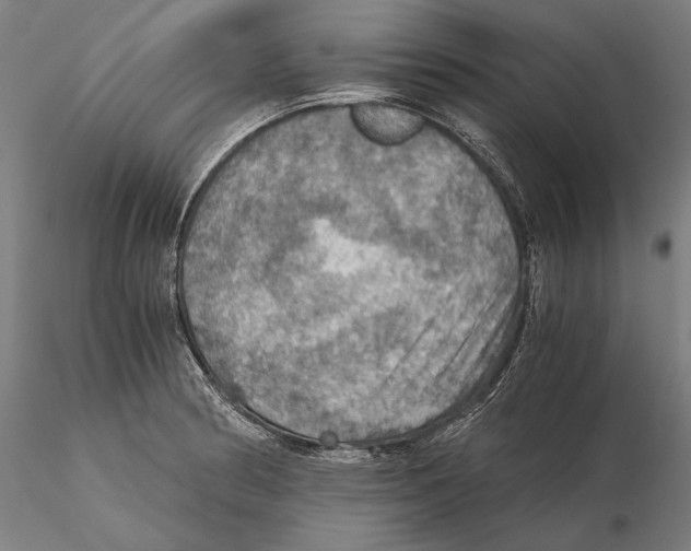 X0000115411186200912011333