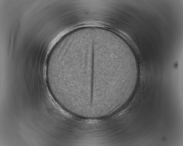 X0000115411188200912011333