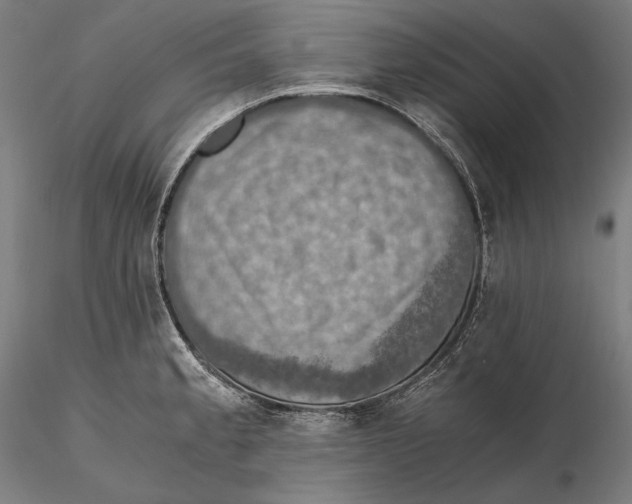 X0000115411189200912011333