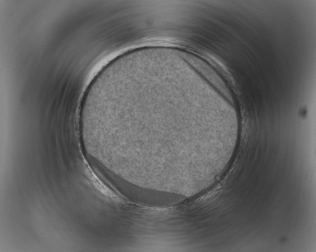 X0000115411192200912011333