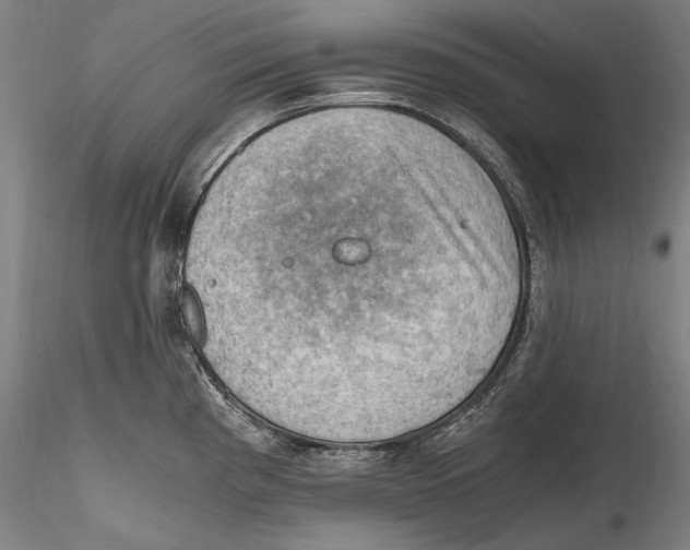 X0000115411193200912011333